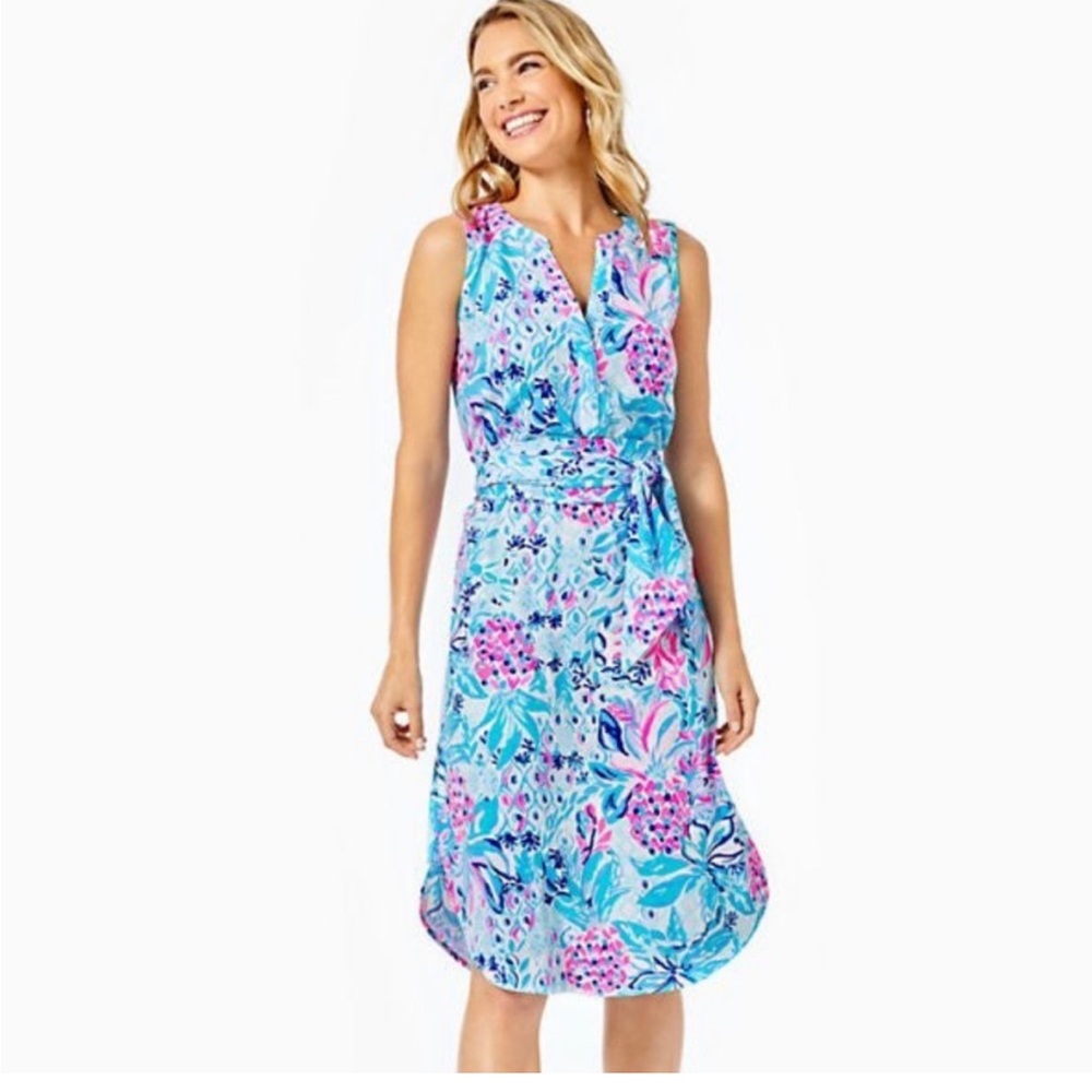Lilly Pulitzer Naila Dress - XS